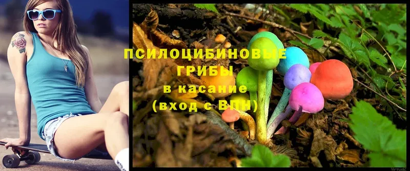 Псилоцибиновые грибы Psilocybe  Задонск 